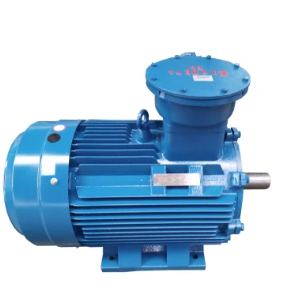 Squirrel Cage Explosion Proof AC Motor Induction: Perchè hè una scelta affidabile per l'applicazioni industriali